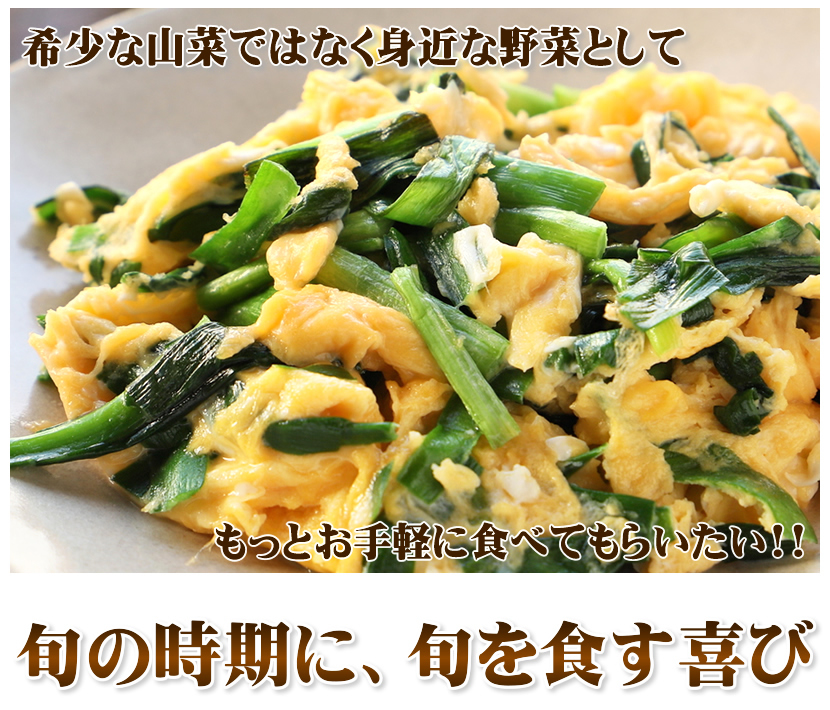 北海道 網走産 行者菜