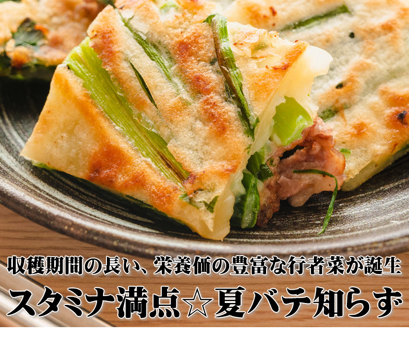 北海道 網走産 行者菜