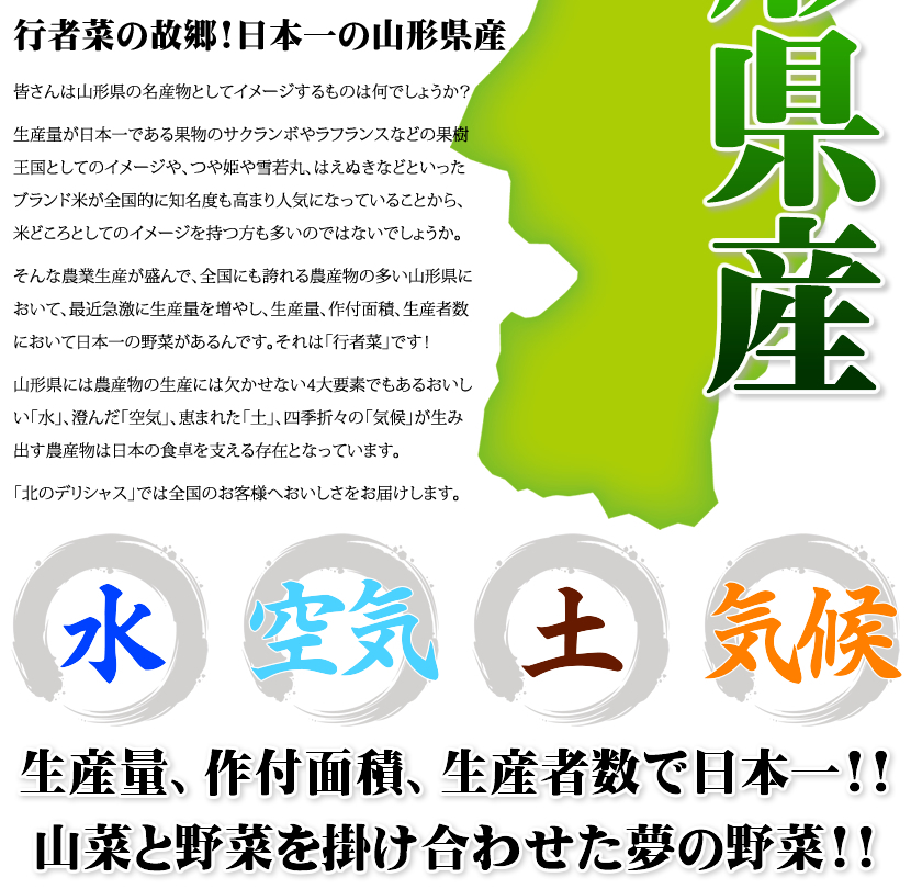 山形県 長井市産 行者菜