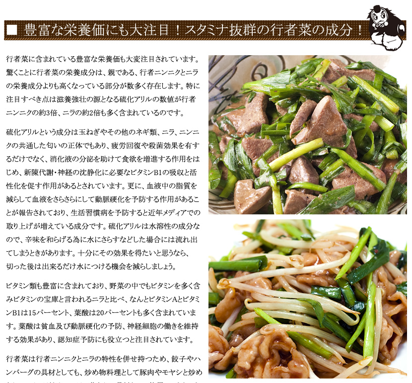 山形県 長井市産 行者菜
