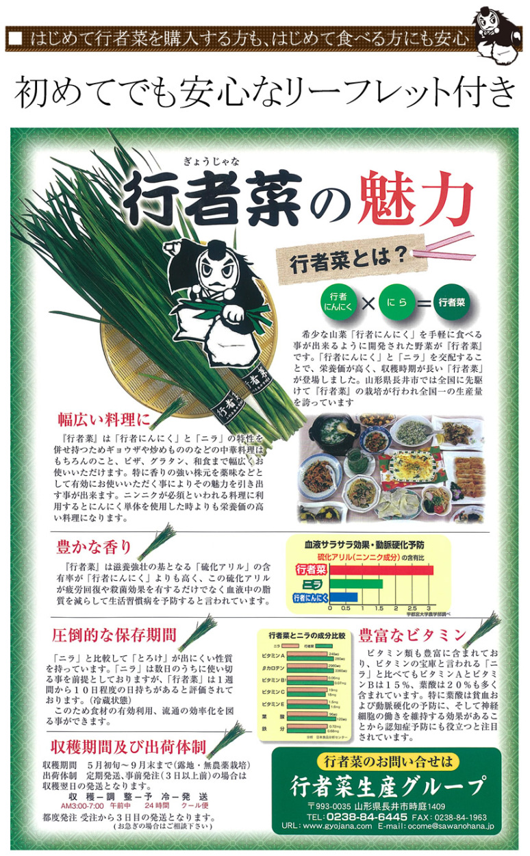 山形県 長井市産 行者菜