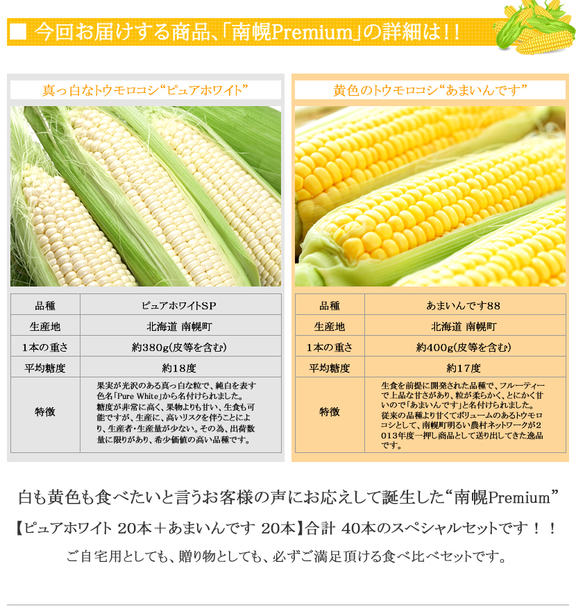北海道 とうもろこし ピュアホワイト あまいんです