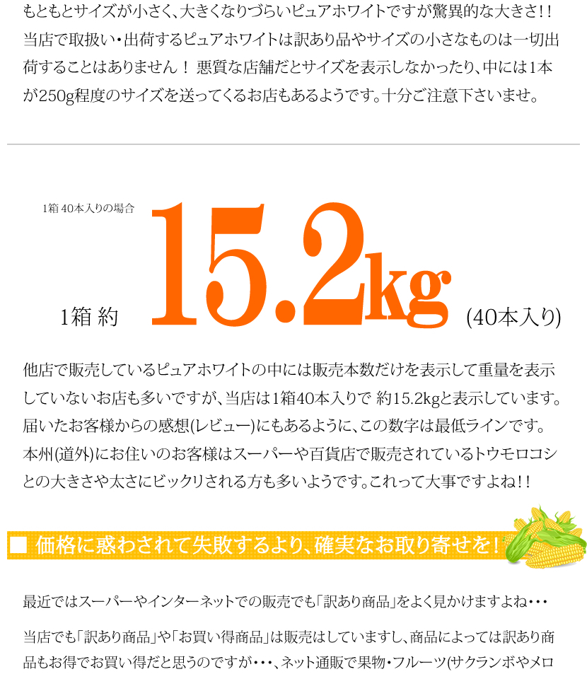北海道 とうもろこし ピュアホワイト
