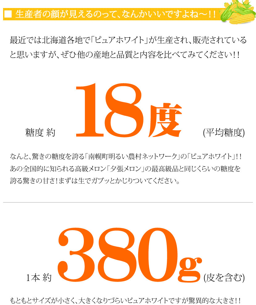 北海道 とうもろこし ピュアホワイト スープ セット