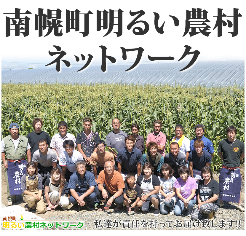 北海道 とうもろこし ピュアホワイト スープ セット