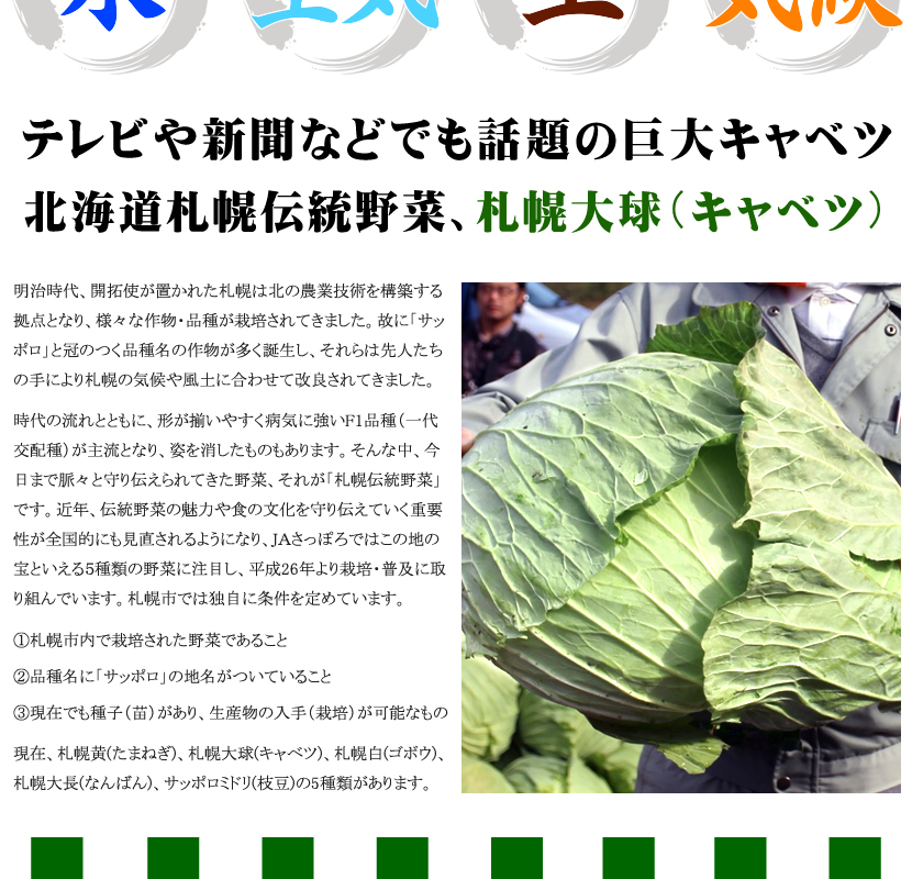 出荷開始】北海道産 キャベツ 札幌大球 10kg (JA共撰/9kg?12kg) 札幌 札幌伝統野菜 きゃべつ キャベツ 野菜 人気 北海道 グルメ  送料無料 お取り寄せ :nj-sapporotaikyuu-10kg:北のデリシャス - 通販 - Yahoo!ショッピング