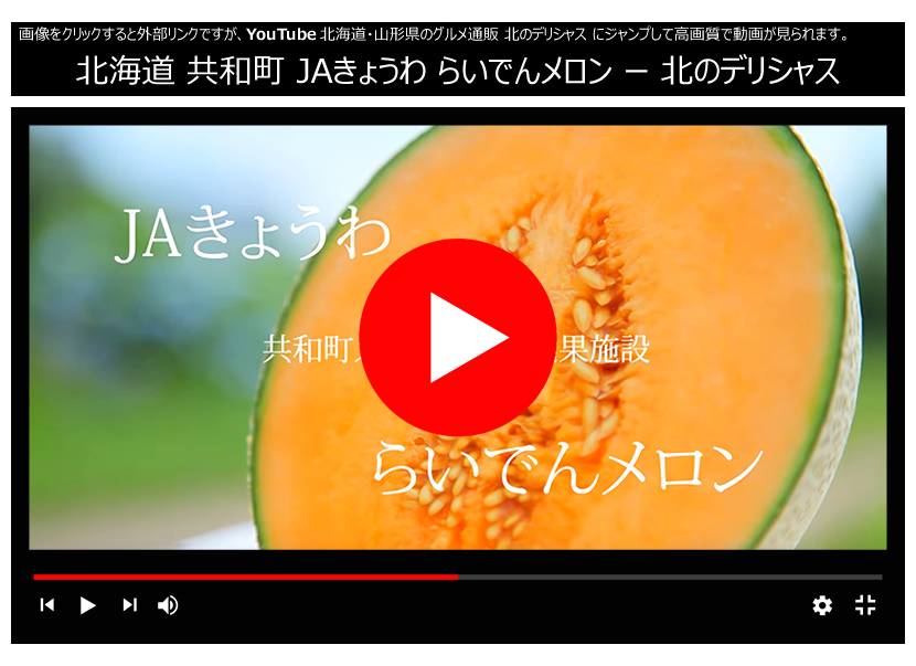 動画 YouTube