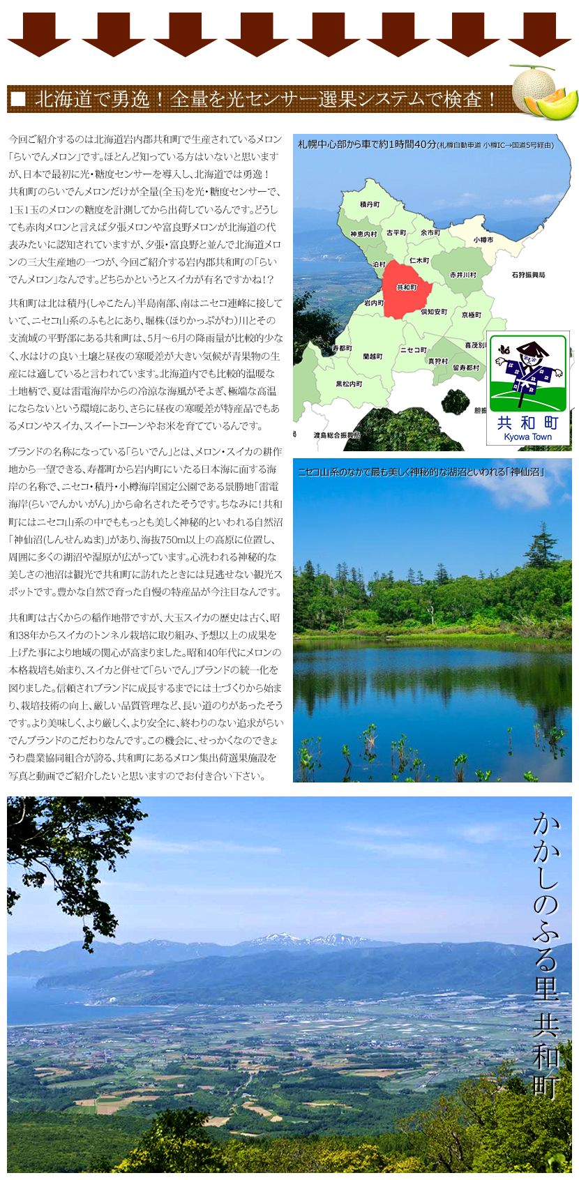 北海道産 らいでんメロン