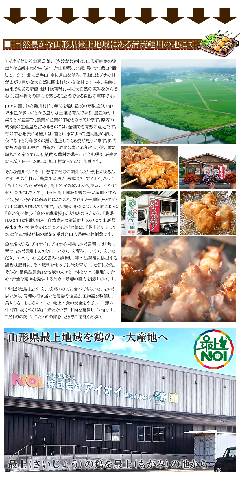 株式会社アイオイ最上どり焼鳥セット