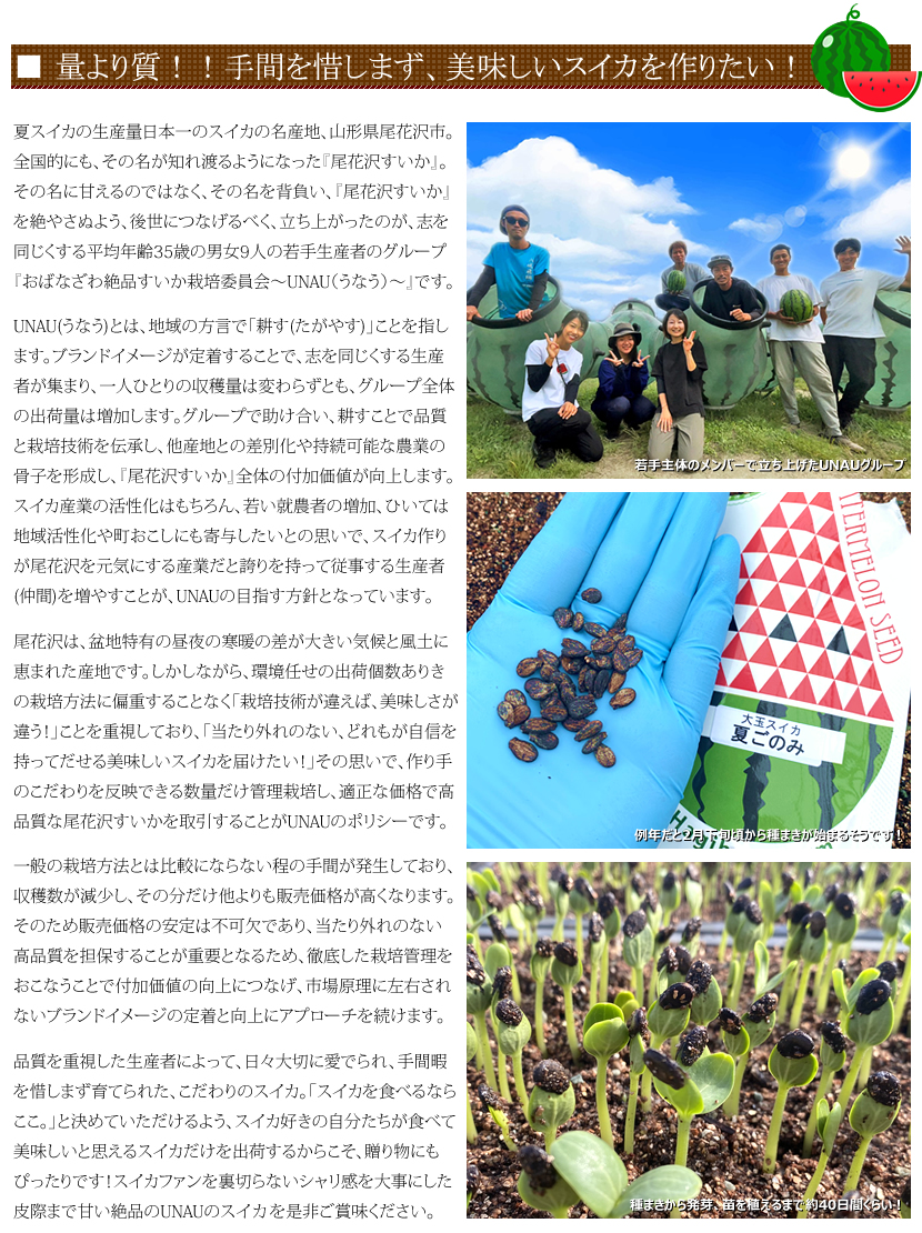 山形 尾花沢すいか UNAU