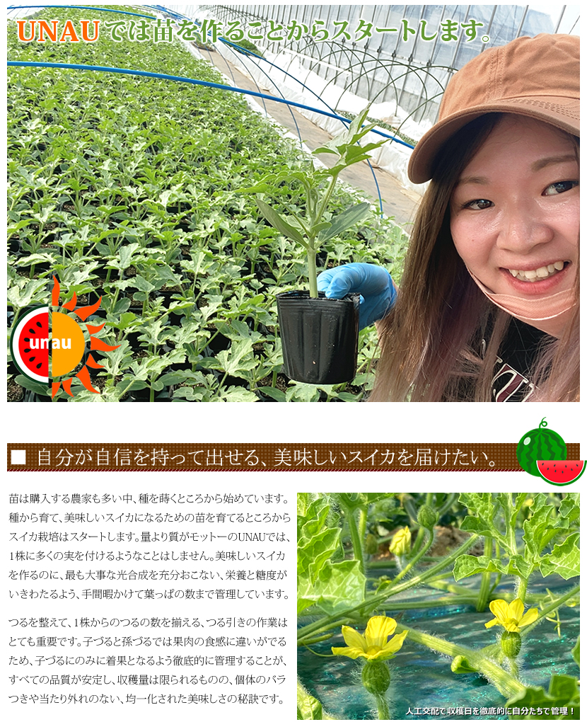 山形 尾花沢すいか UNAU