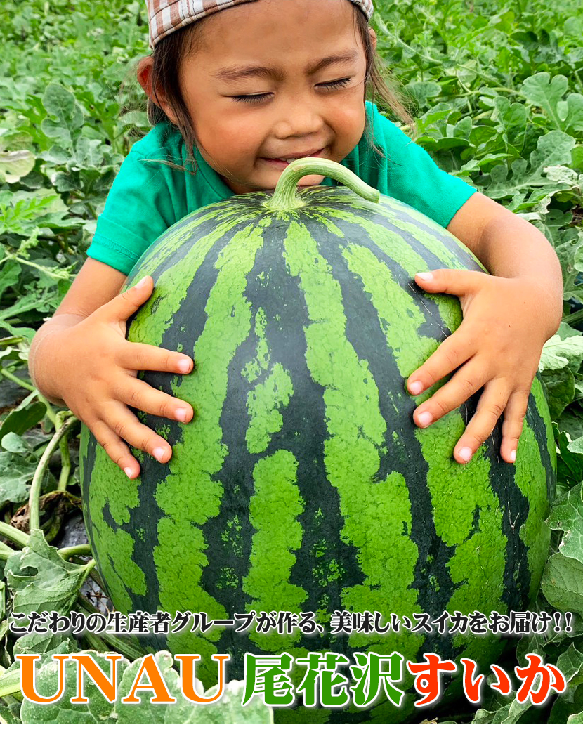 山形 尾花沢すいか UNAU