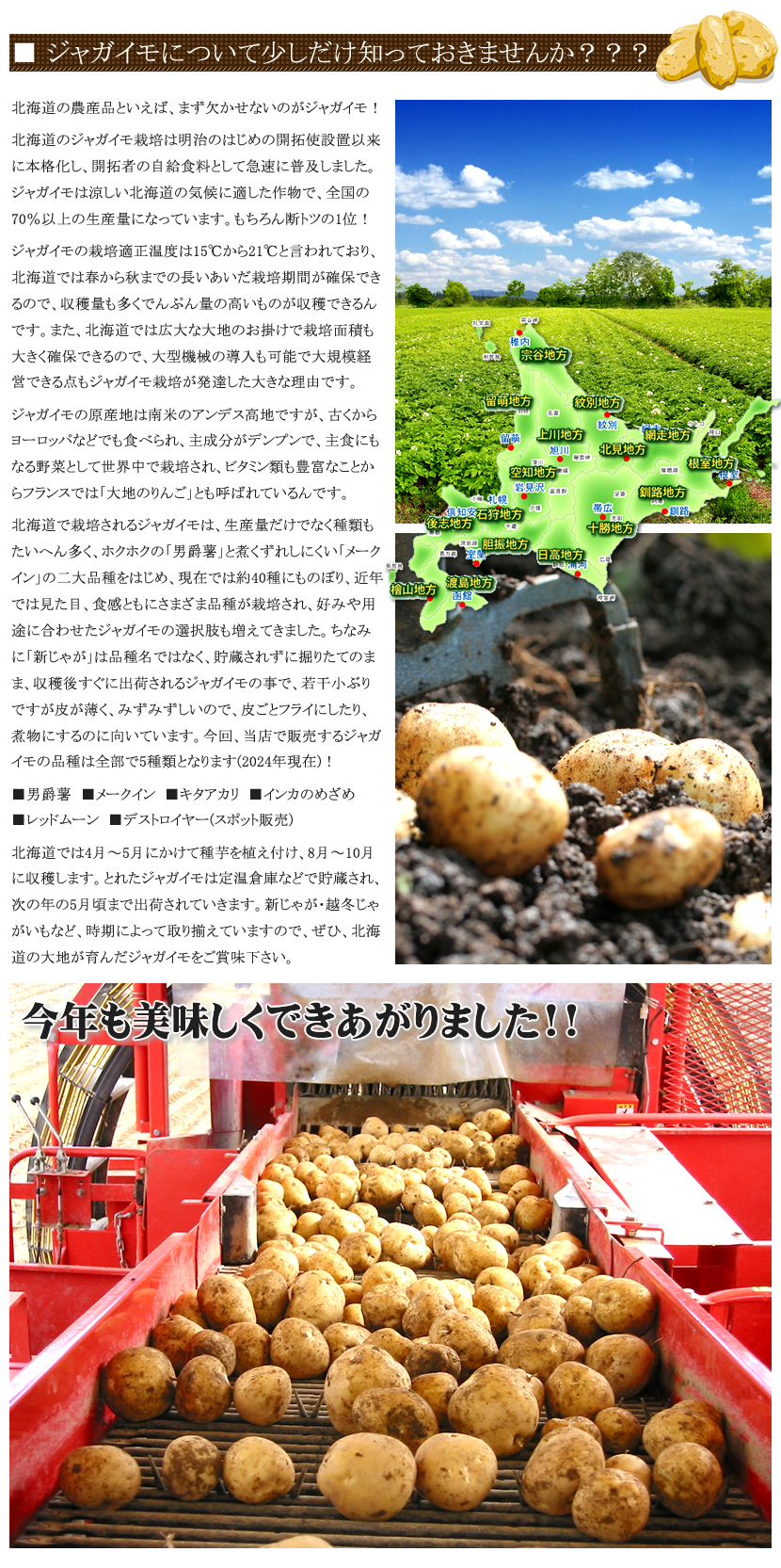 北海道産 ご家庭用 男爵芋