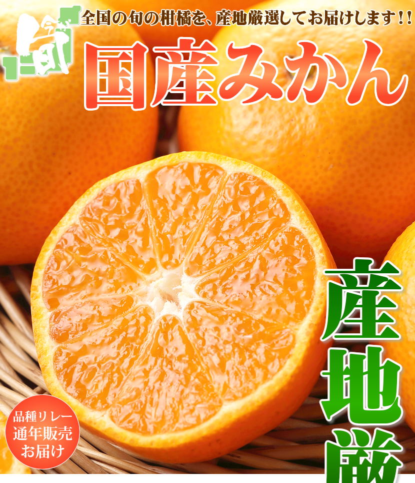 愛媛県産 みかん