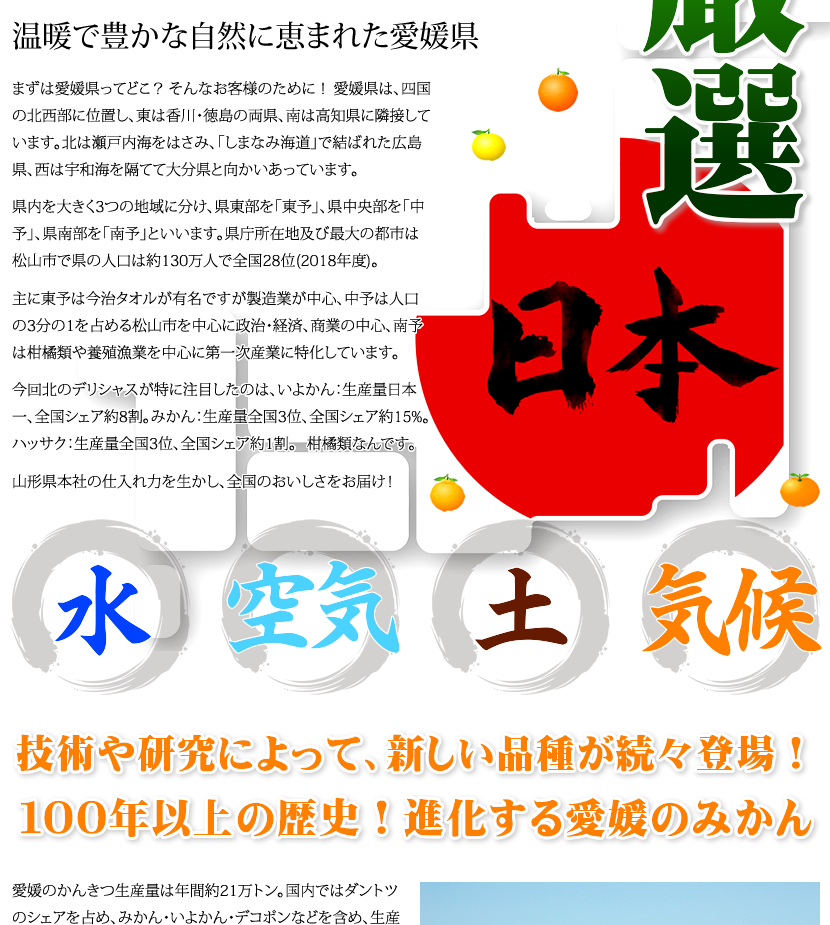 愛媛県産 みかん