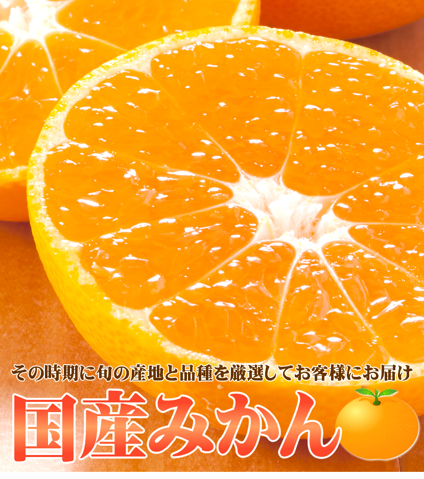 愛媛県産 みかん
