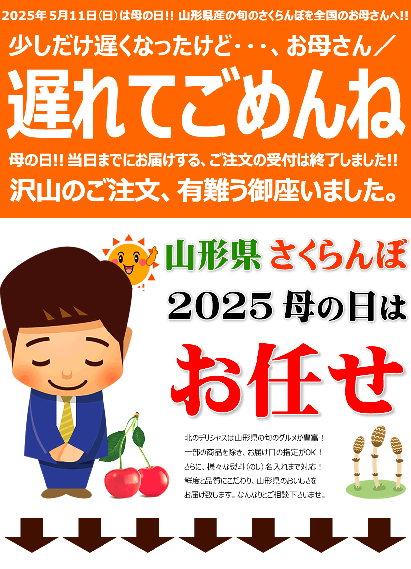 遅れてごめんね！お母さん！ 山形県産 さくらんぼ 佐藤錦 300g