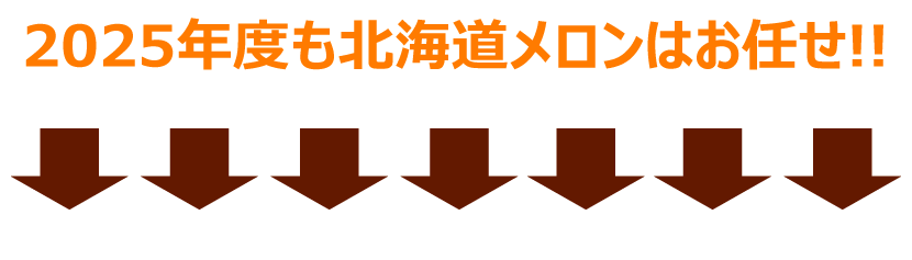 富良野メロン 2025 初競り