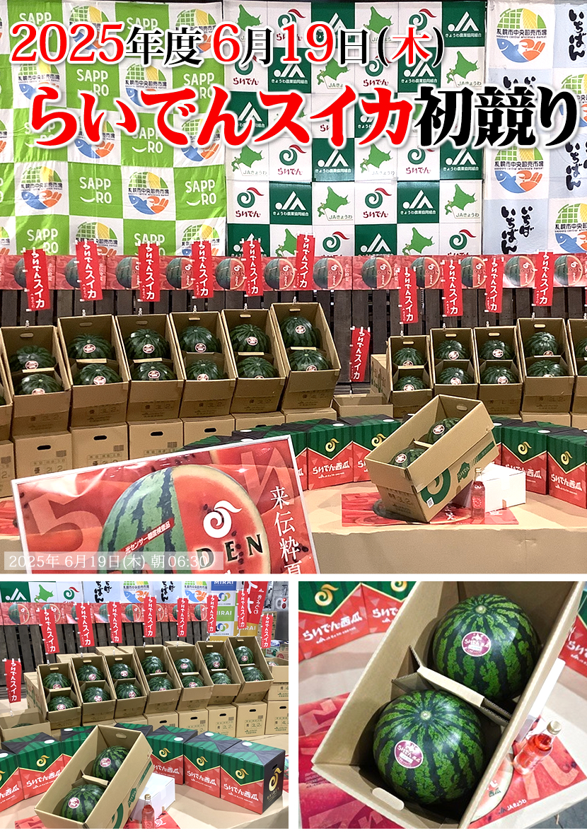らいでんスイカ 2025 初競り