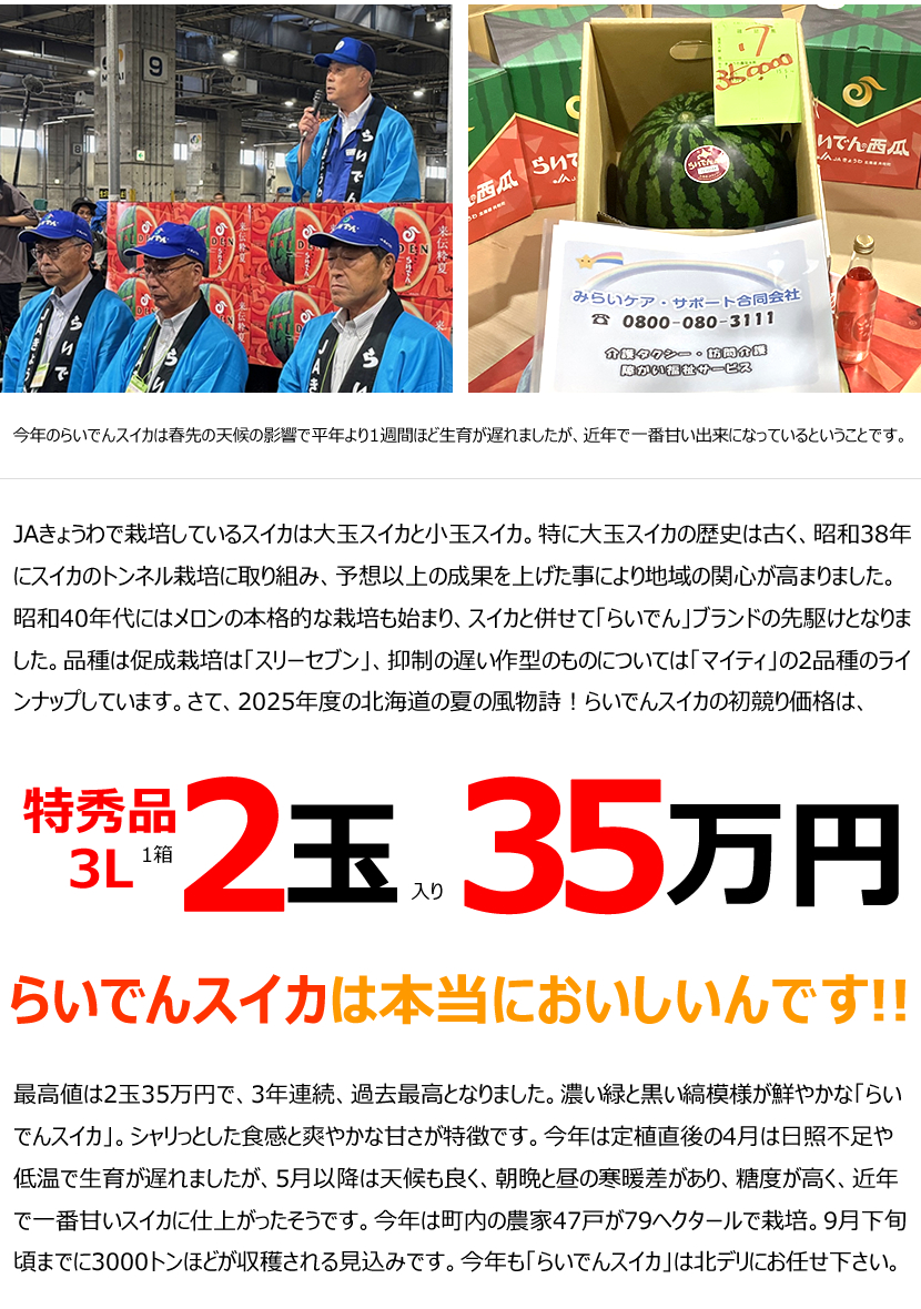 らいでんスイカ 2025 初競り