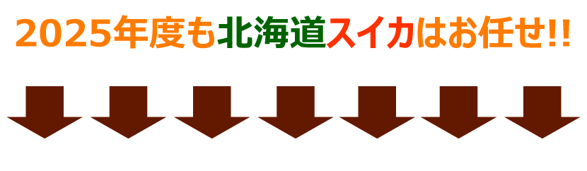 らいでんスイカ 2025 初競り