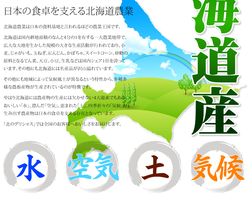 北海道産 南幌町 ミニトマト3種詰め合わせ
