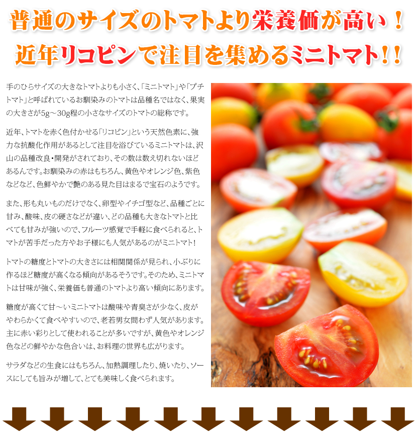 北海道産 南幌町 ミニトマト3種詰め合わせ