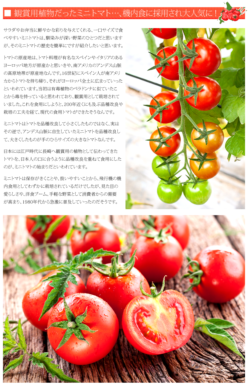 北海道産 南幌町 ミニトマト3種詰め合わせ
