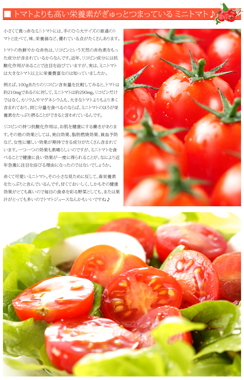 北海道産 南幌町 ミニトマト3種詰め合わせ