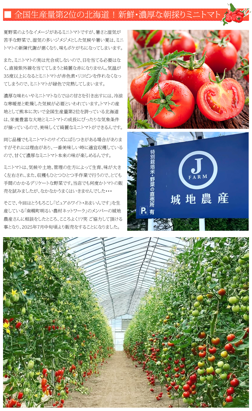 北海道産 南幌町 ミニトマト3種詰め合わせ
