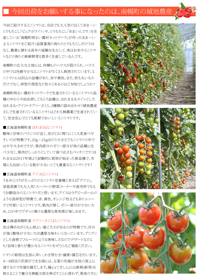 北海道産 南幌町 ミニトマト3種詰め合わせ