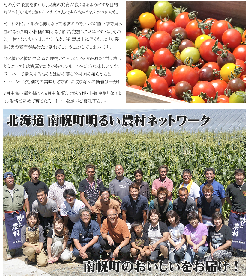 北海道産 南幌町 ミニトマト3種詰め合わせ