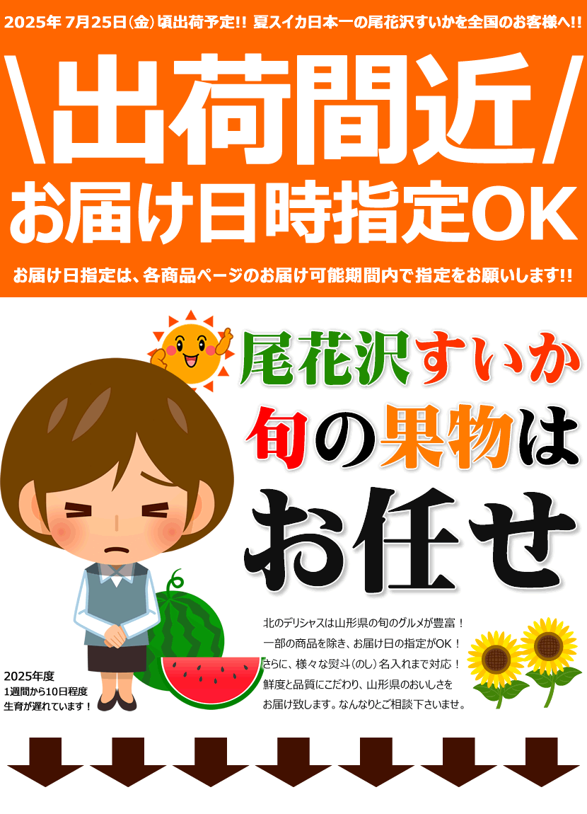 2025 尾花沢すいか 出荷間近