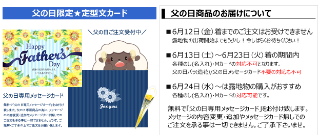 熨斗・メッセージカード