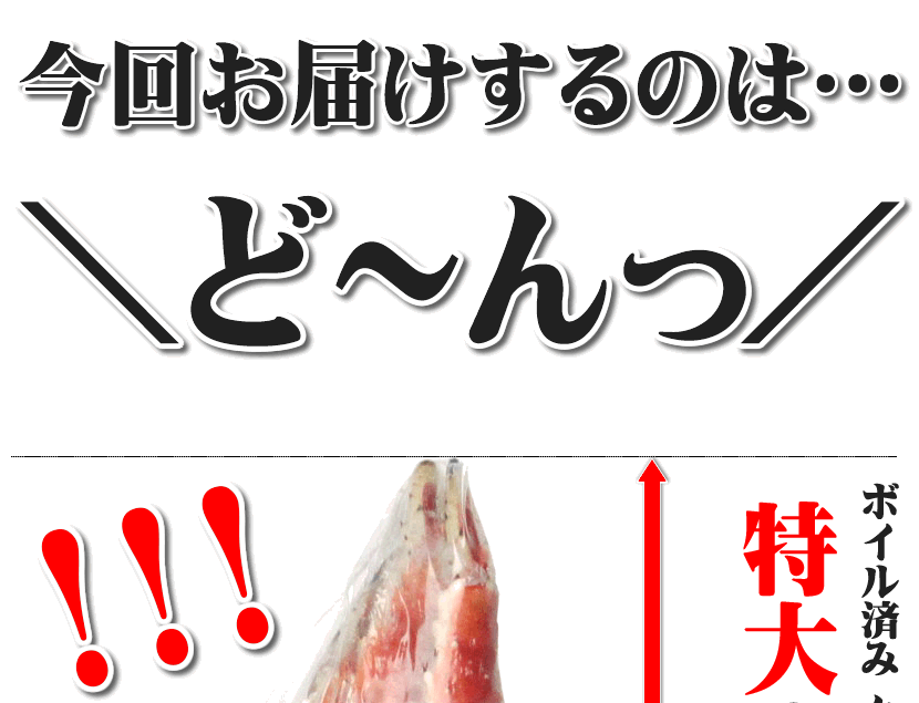 たらばがに タラバガニ