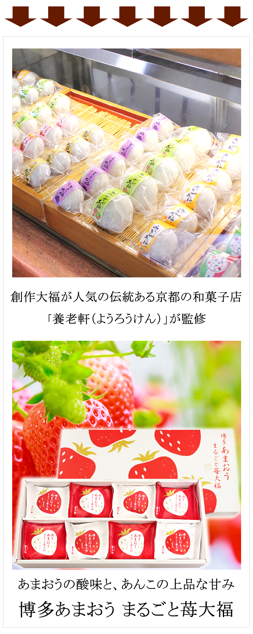 京都 養老軒 博多あまおう まるごと苺大福 YF-MB