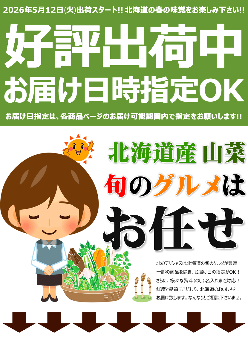 終了間近】北海道産 山菜 根曲がり竹 1kg (食用) 天然 ねまがり竹
