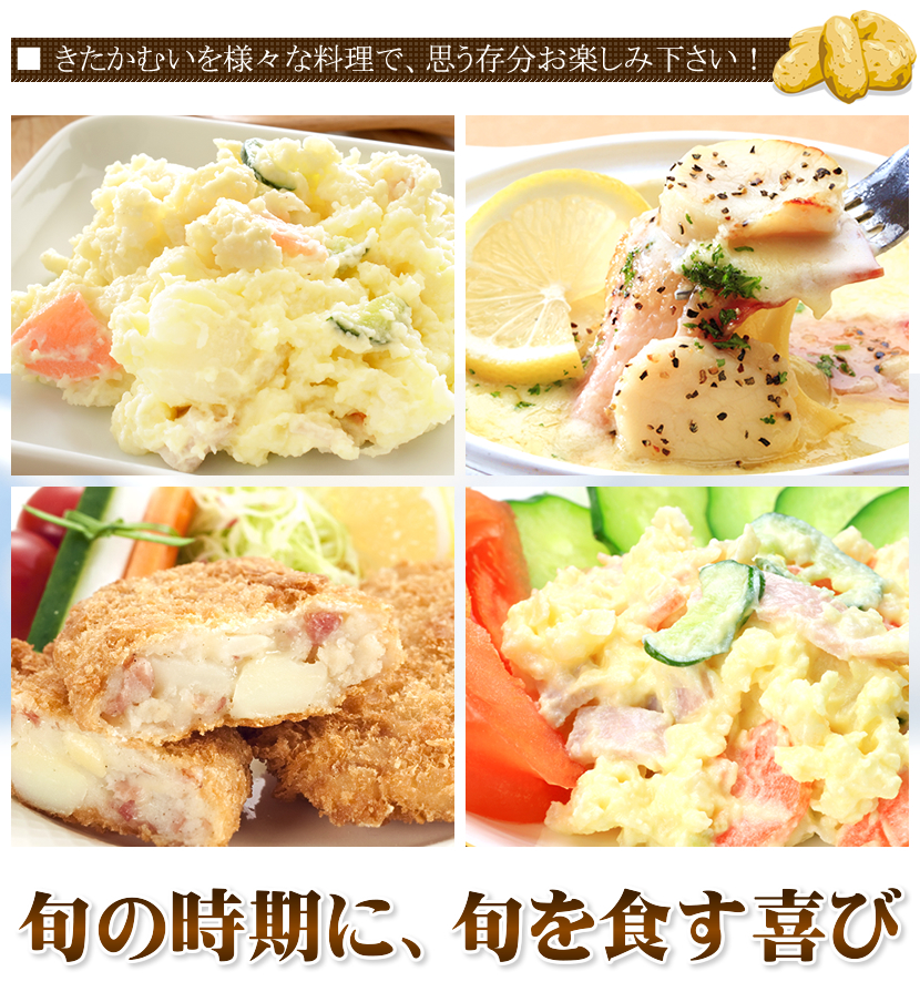 出荷中】北海道産 新じゃが じゃがいも きたかむい 5kg (JA共撰/常温便
