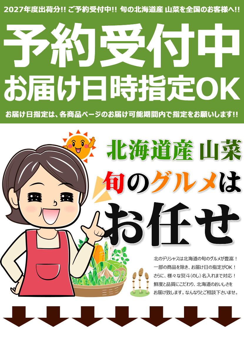 予約】北海道産 山菜 根曲がり竹 1kg (食用) 天然 ねまがり竹