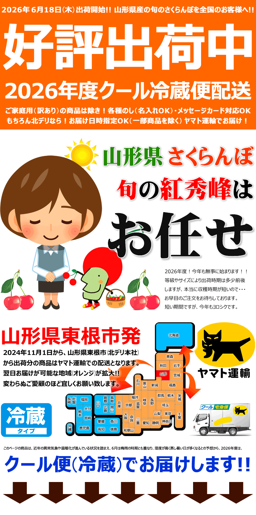 2026 露地さくらんぼ 紅秀峰 出荷中