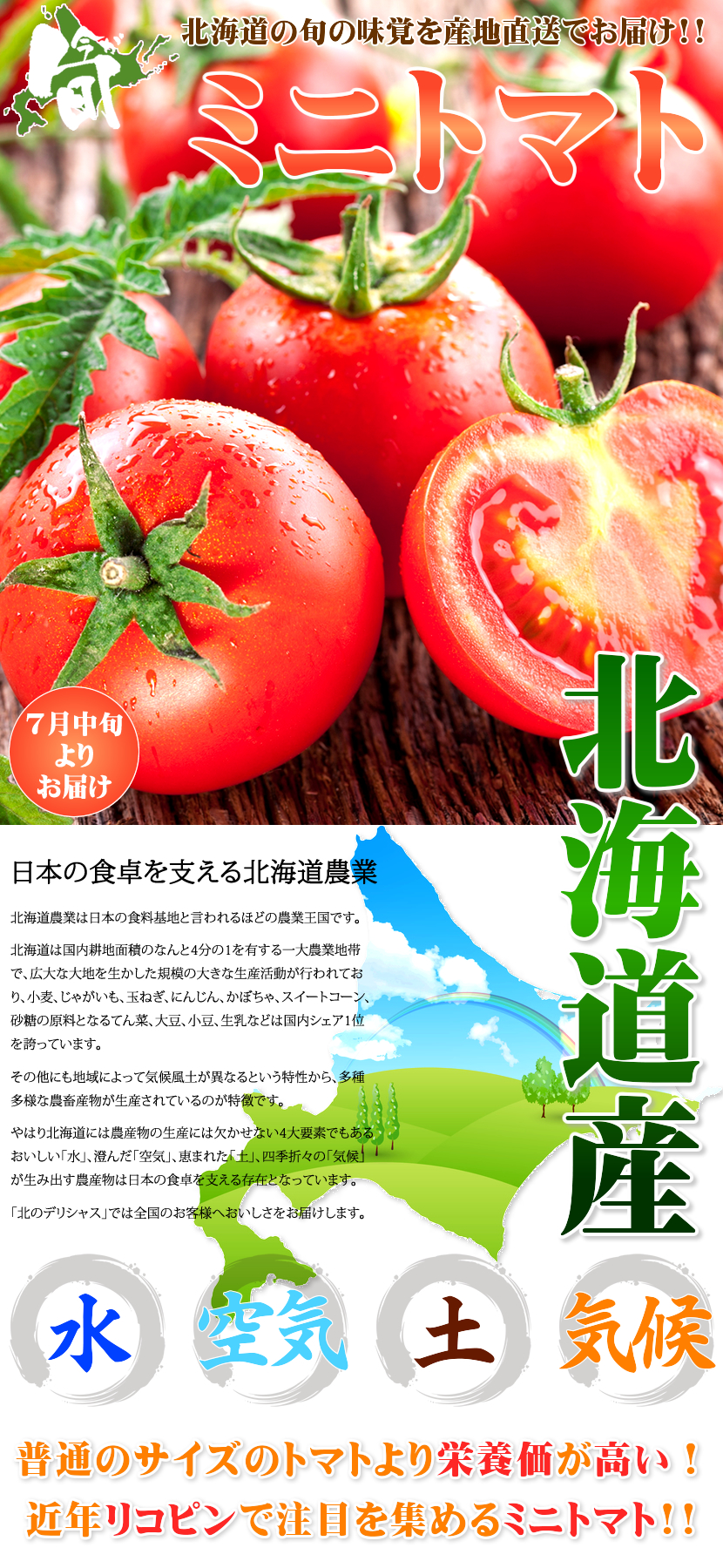 北海道産 南幌町 ミニトマト3種詰め合わせ