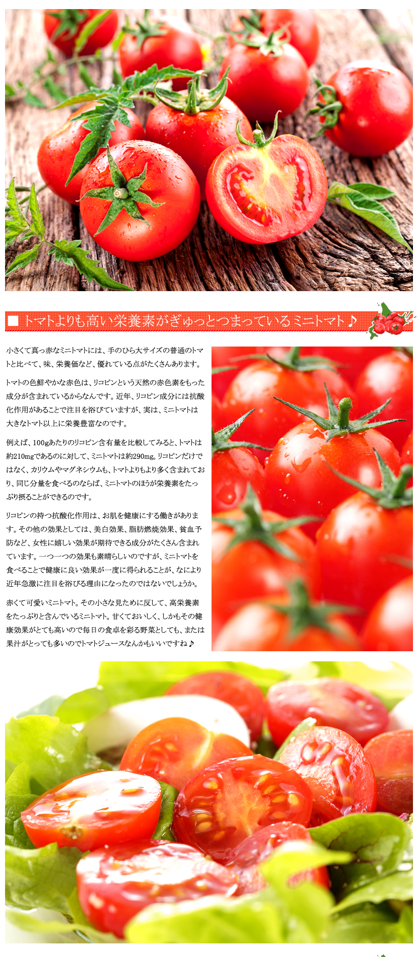 北海道産 南幌町 ミニトマト3種詰め合わせ