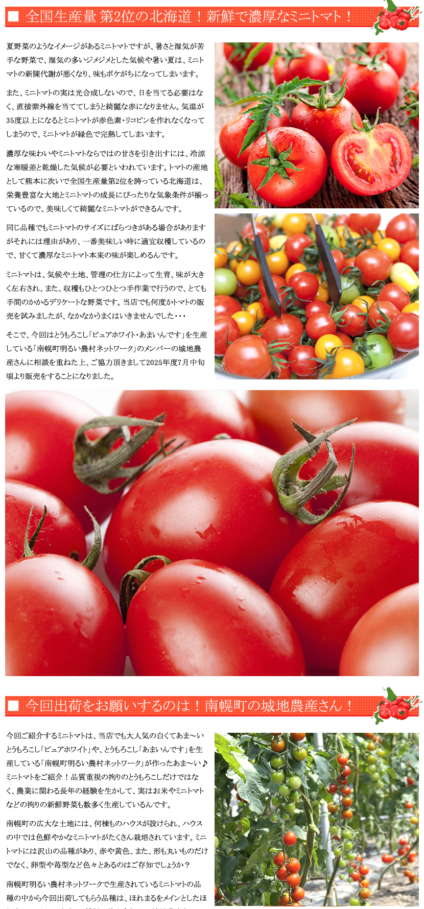 北海道産 南幌町 ミニトマト3種詰め合わせ