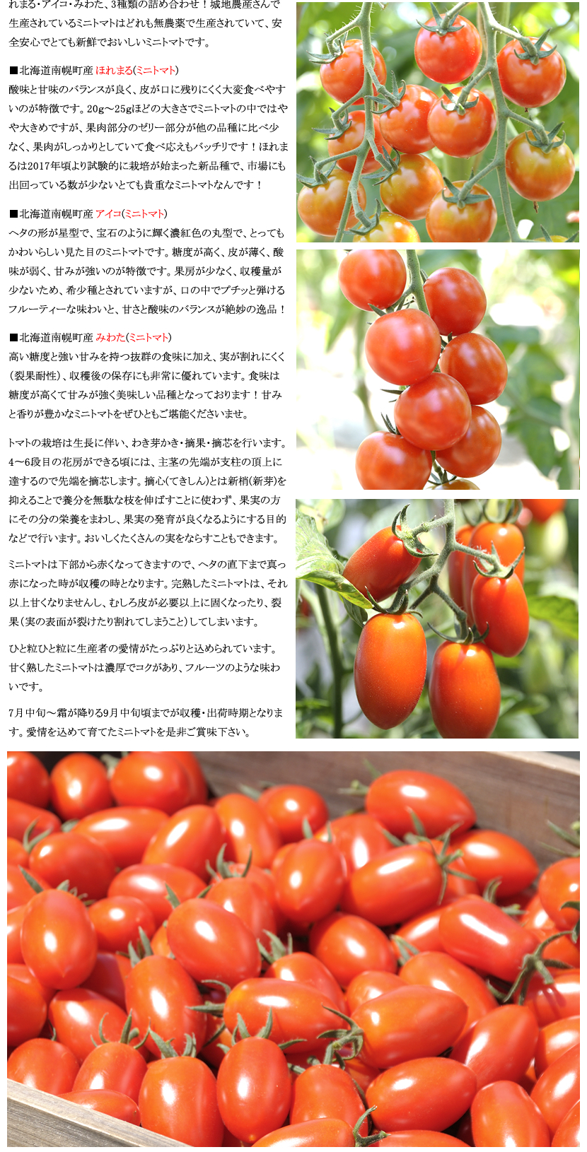 北海道産 南幌町 ミニトマト3種詰め合わせ