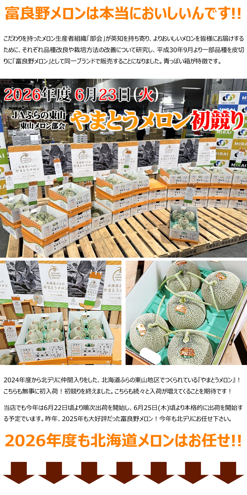 富良野メロン 2026 初競り
