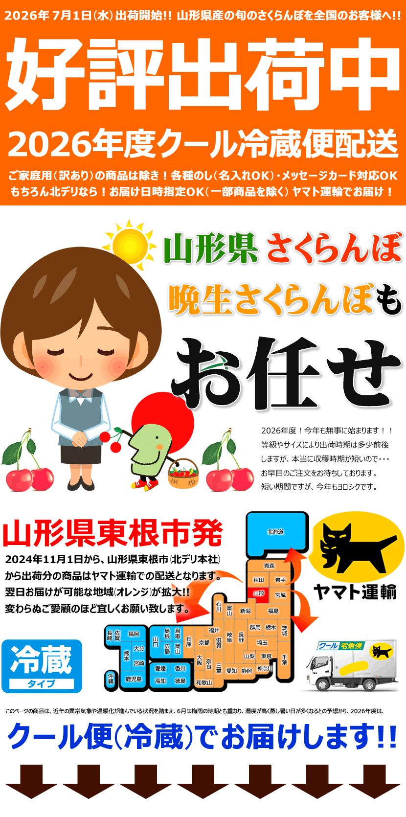 2026 晩生さくらんぼ 出荷中