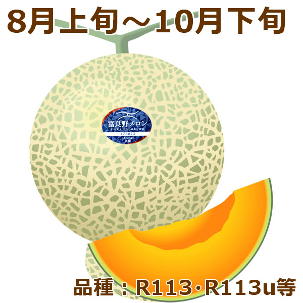 販売終了】北海道 メロン 富良野メロン 2玉 (JAふらの共撰/秀品/1玉