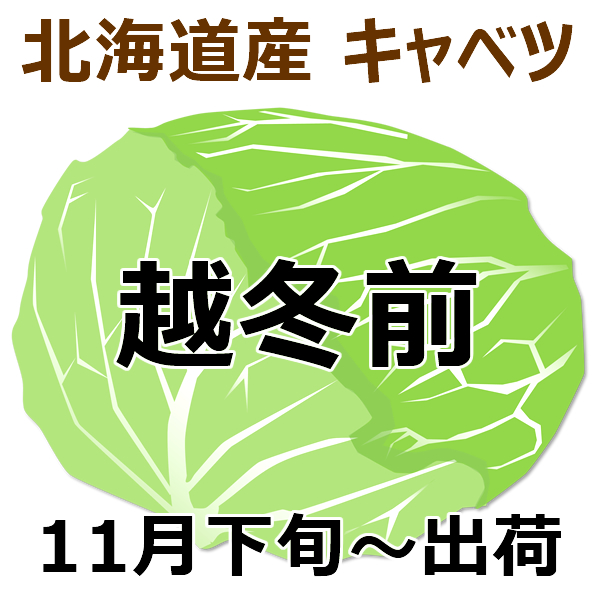 キャベツシーズン ～完～ 昨秋の秋採りキャベツに始まり､冬の