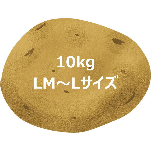 【出荷中】北海道産 越冬 じゃがいも 訳あり キタアカリ 10kg (M〜LMサイズ) ご家庭用 きたあかり 馬鈴薯 新じゃが 野菜 秋野菜 北海道 お取り寄せ｜g-hokkaido｜02