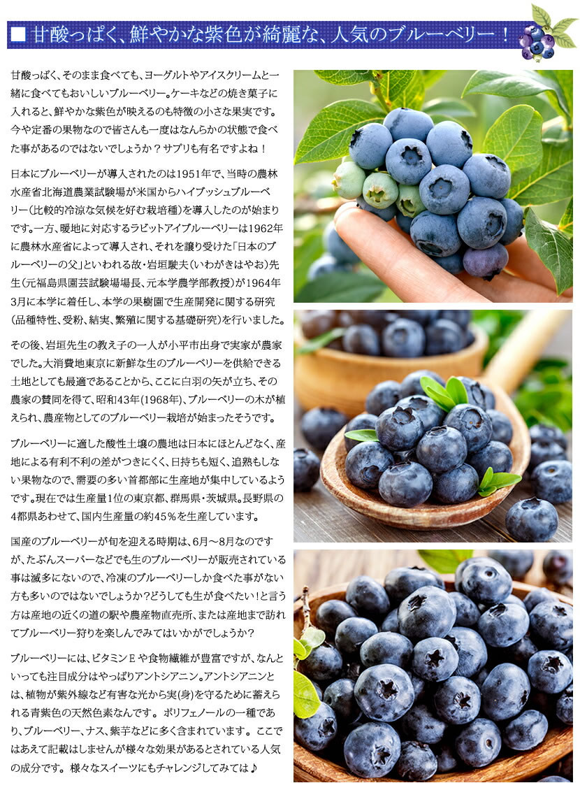 冷凍 フルーツ